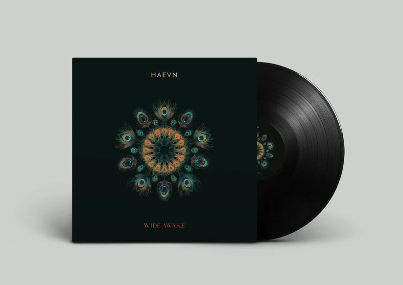 VINYL WIDE AWAKE | NEW FULL ALBUM HAEVN