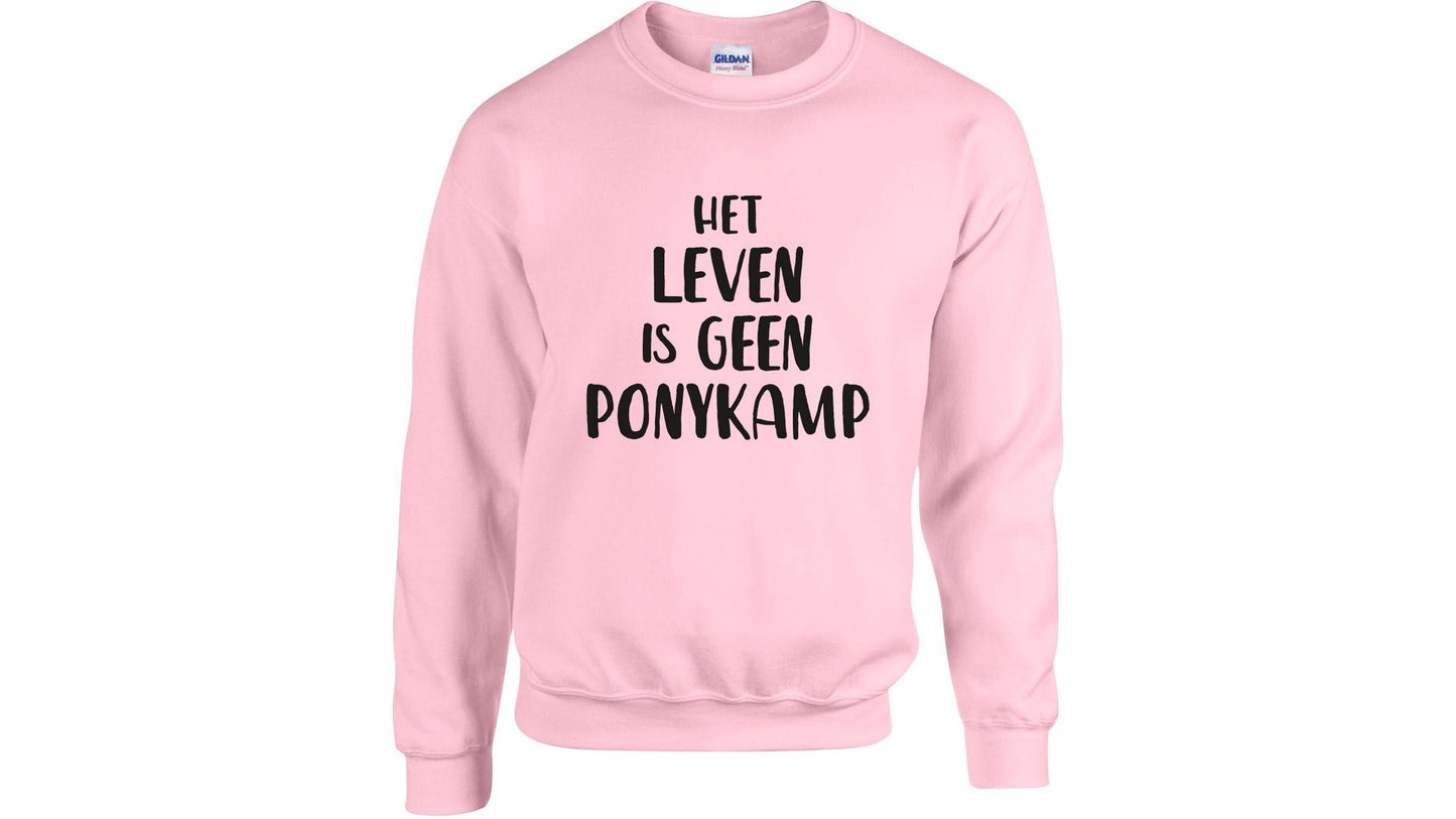 TRUI | ROZE PONYKAMP - SHOWPONIES