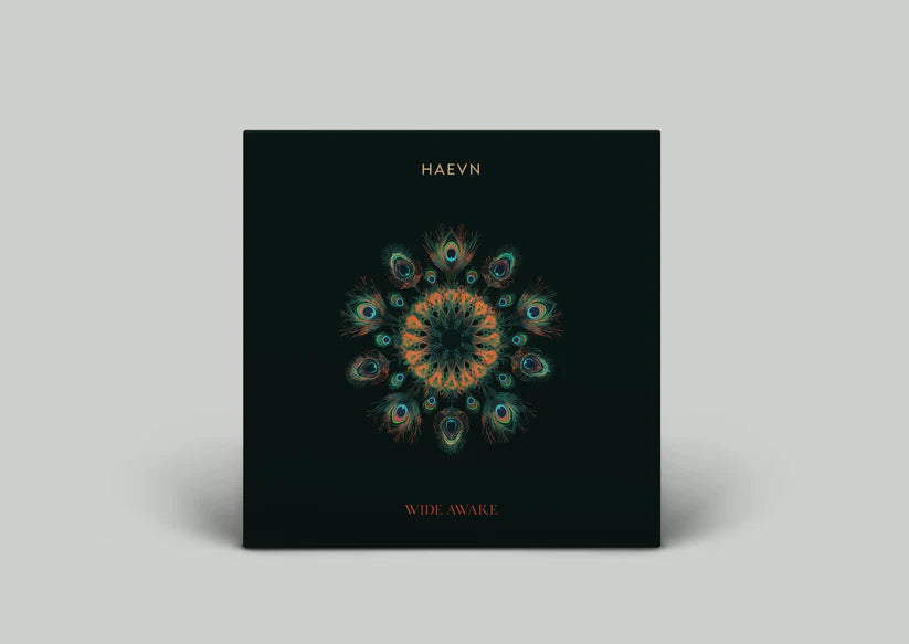 CD WIDE AWAKE | NEW FULL ALBUM HAEVN